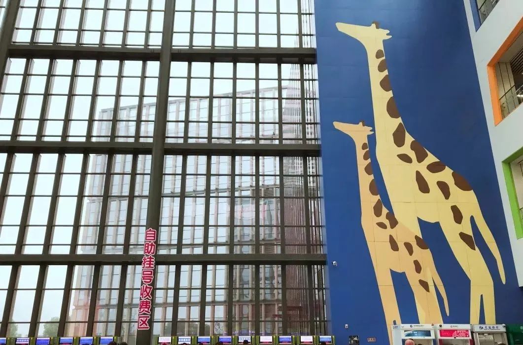 南京市儿童医院最新事件,南京儿童医院现状视频最新