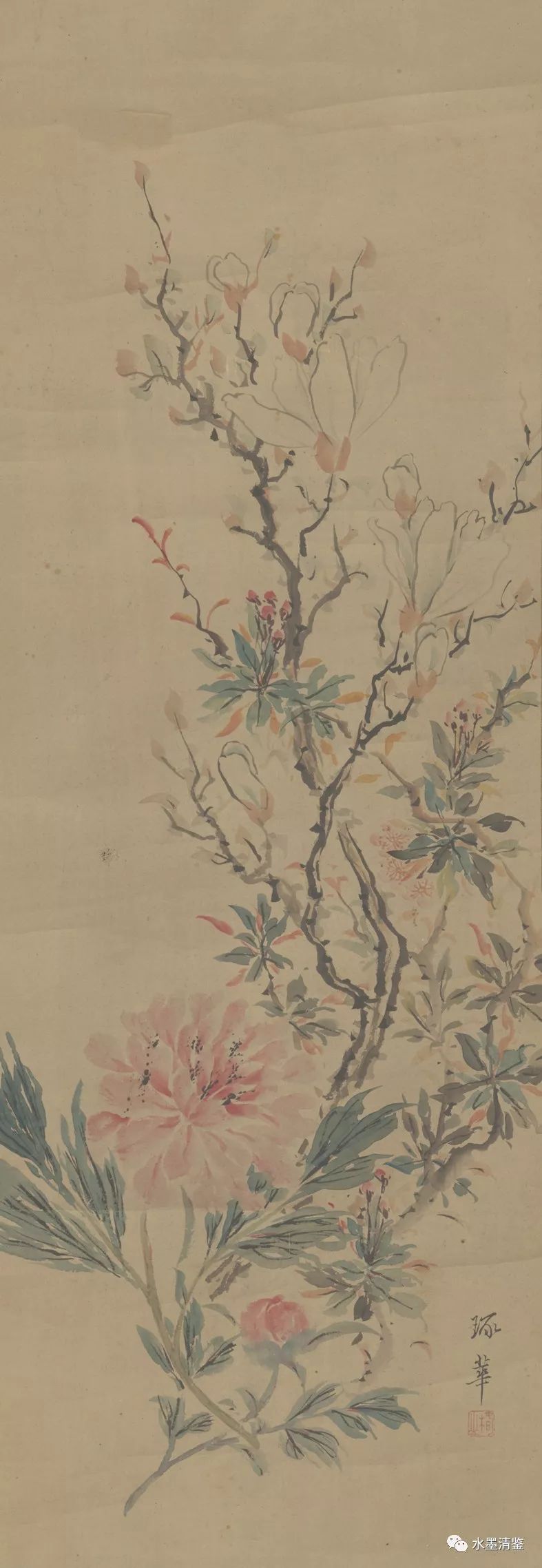 张开画,张开手绘画