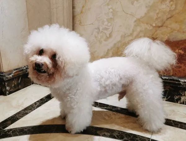 风采展示10人,风采展示3个人