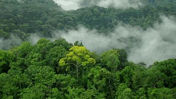 赣州真是很神奇的城市,赣州是一座怎样的城市