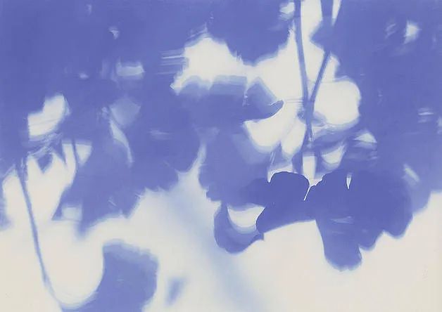 特朗斯特罗姆诗全集,特朗斯特罗姆诗歌全集怎么样