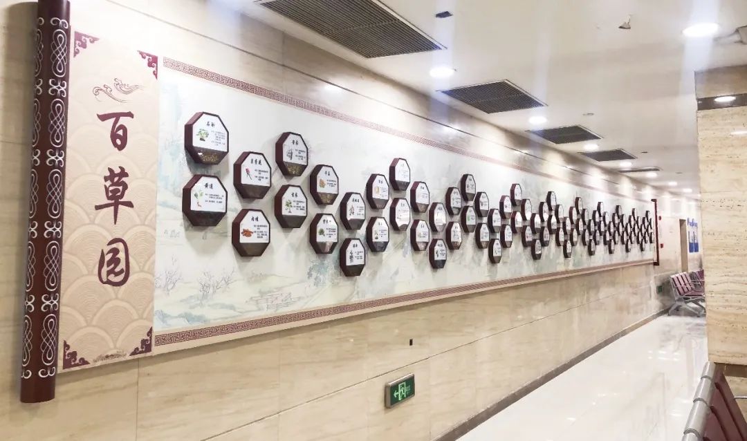 浦东开发开放30周年,上海浦东新区开发开放30周年