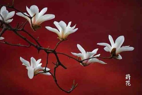 让人醍醐灌顶的自律句子,每日阅读美文金句短句