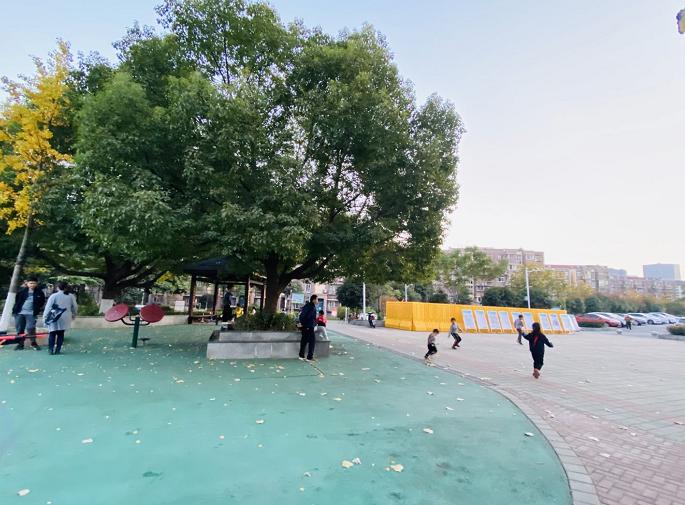 南京学区房房价是涨还是跌,南京南部新城汇景家园学区调整吗