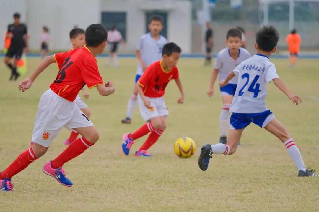 燃烧青春，“足”够精彩！加油，肇庆足球少年！
