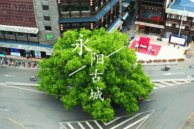 永泰实验小学怎么样,永泰县实验小学视频