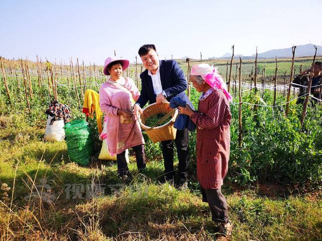 弘扬新时代西畴精神|颜玉锐:走出大山又回到大山的致富带头人