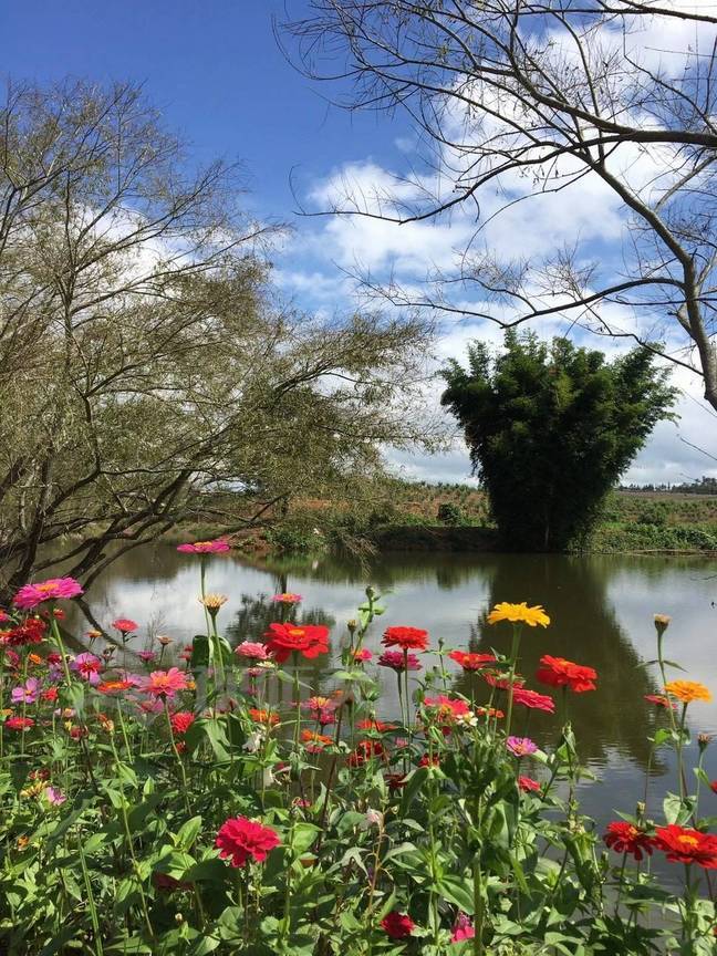 弘扬新时代西畴精神|颜玉锐:走出大山又回到大山的致富带头人