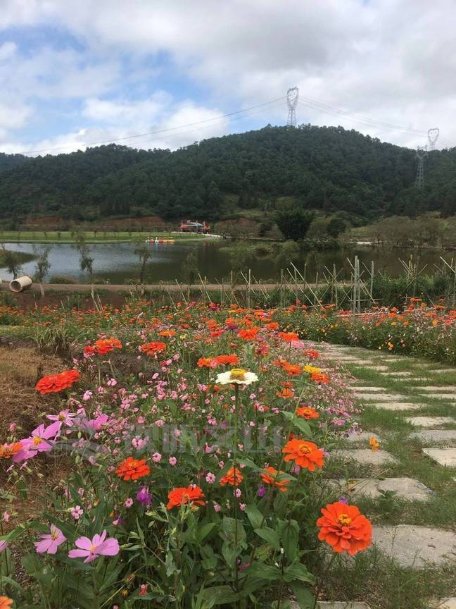 弘扬新时代西畴精神|颜玉锐:走出大山又回到大山的致富带头人