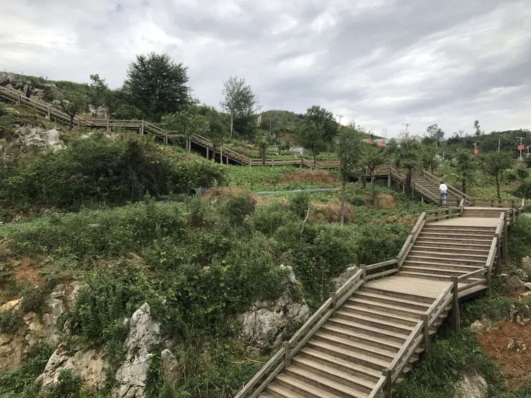 百里杜鹃民宿推荐,贵州百里杜鹃附近民宿