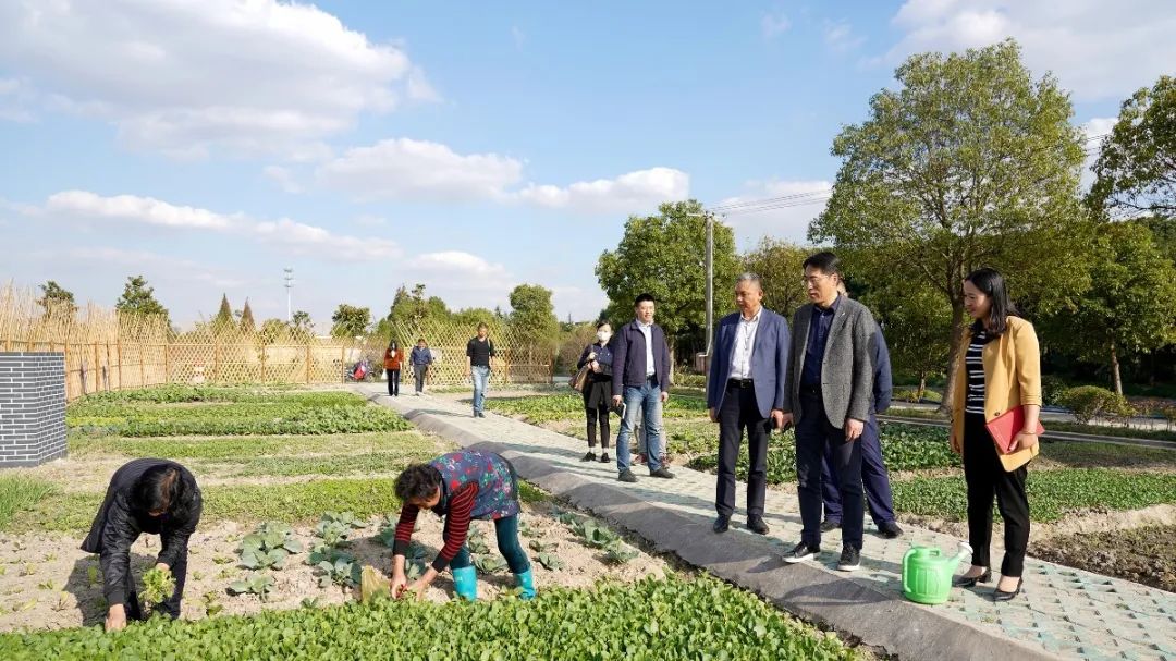 徐泾镇生活日记——包容、快乐、共治共享，陈瑜镇长“话说”金云美丽乡村创建