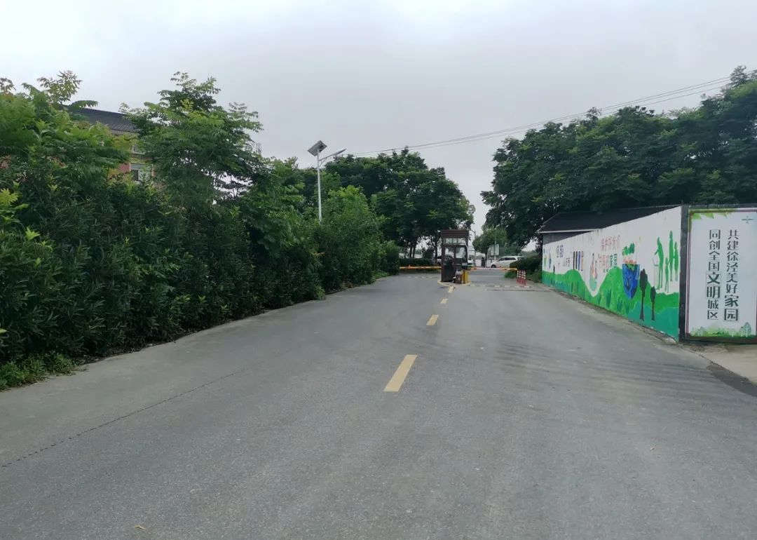 徐泾市容环境整治,徐泾镇人居环境检查