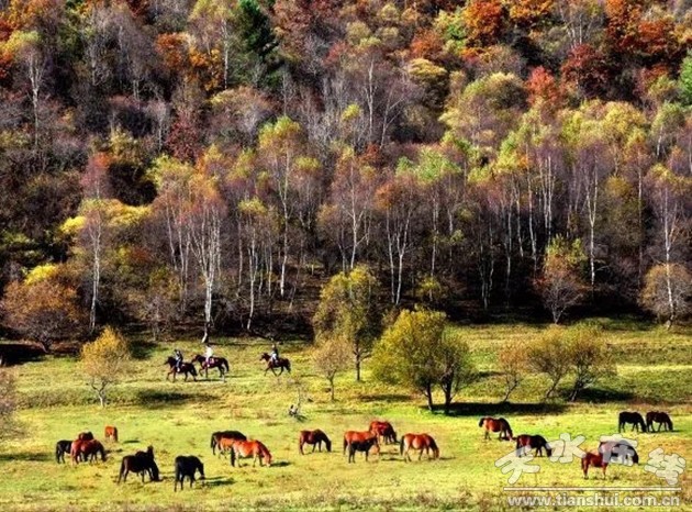 天水电子商务有前景吗,天水电子商务创业