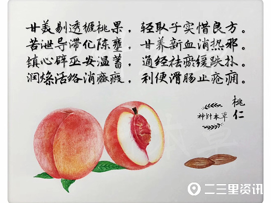 各种中药的画法,珍贵的中草药手绘图文