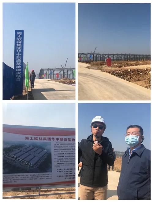 推动绿色发展相关举措有,发展绿色产业赋能高质量发展