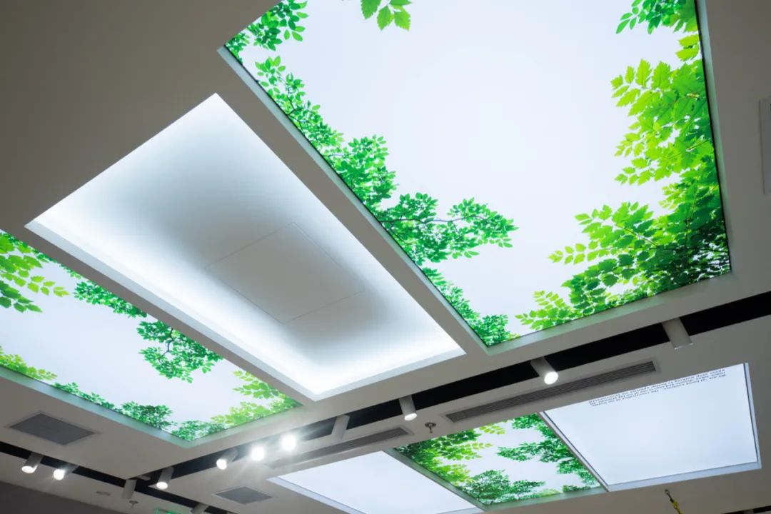 jackwolfskin狼爪官网,jackwolfskin德国狼爪秋冬