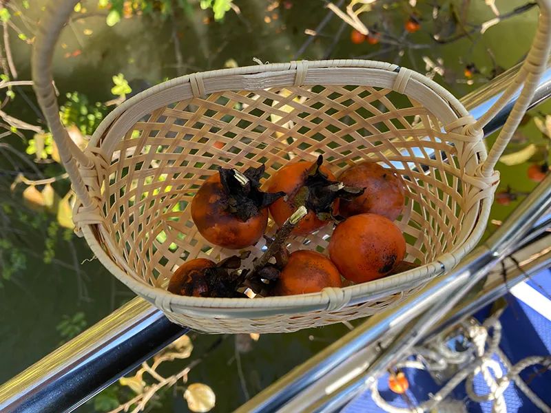 2018年度最佳酒店 (今年最值得去的酒店排名)