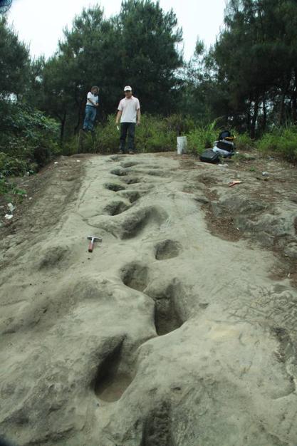自贡恐龙历史简介,自贡恐龙科普