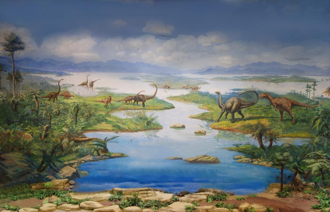 自贡恐龙历史简介,自贡恐龙科普