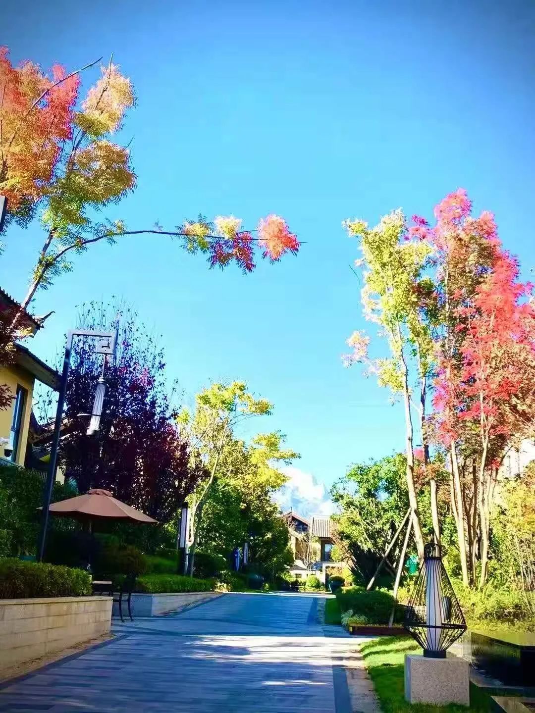 永胜幼儿园招聘电话,丽江永胜幼儿园教师招聘