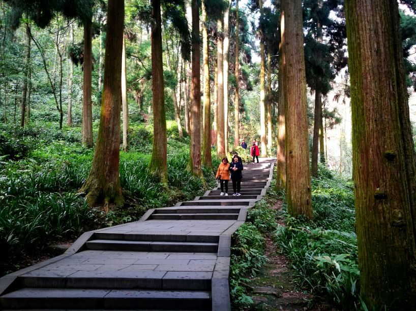 跟着攻略玩昆明,成都青城山都江堰一日游最佳攻略