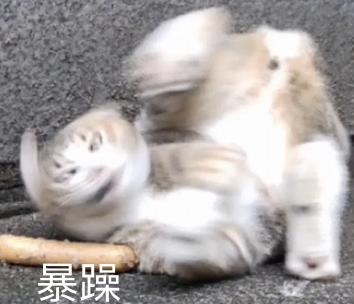 贪玩蓝月洗钱陷阱,贪玩蓝月盈利吗