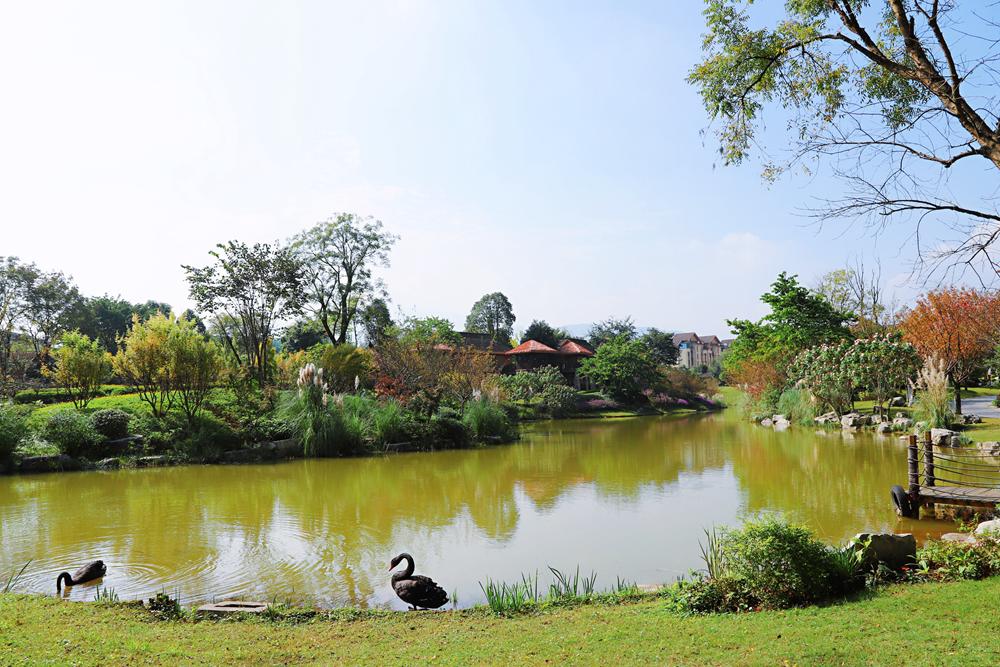乐山峨眉山泡温泉,峨眉冬天泡温泉攻略