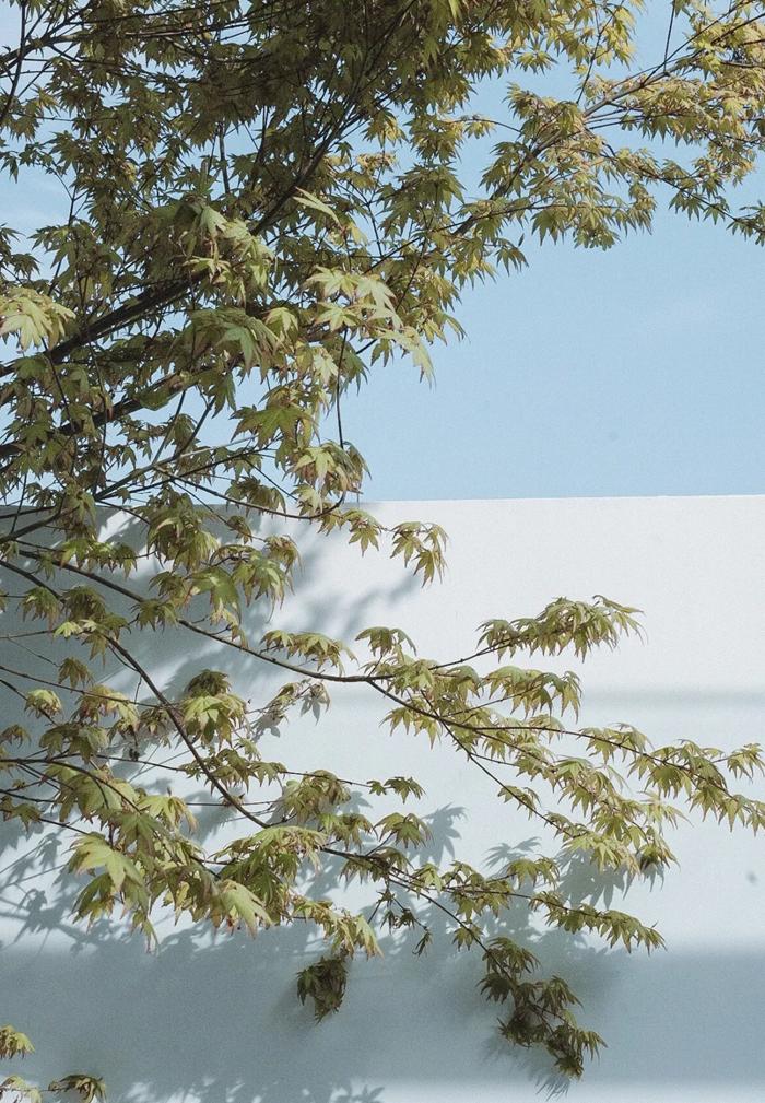 乐山峨眉山泡温泉,峨眉冬天泡温泉攻略