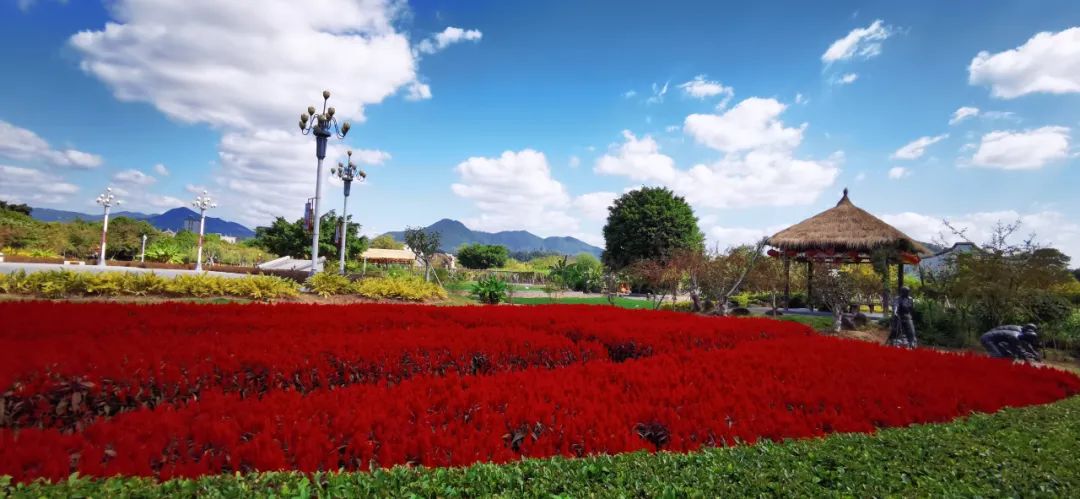 来福州逛一圈回家,来福州一定要走一走闽侯龙台山