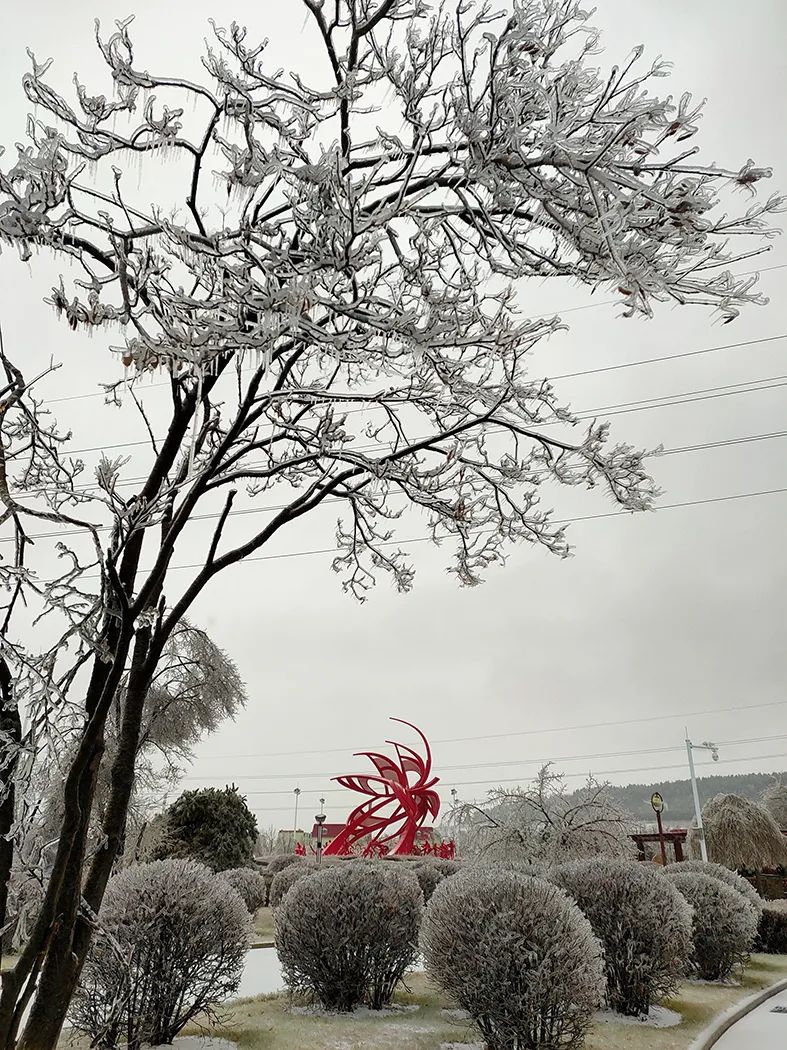 延边开启滑雪季快来嗨翻冬天,雪雪来了
