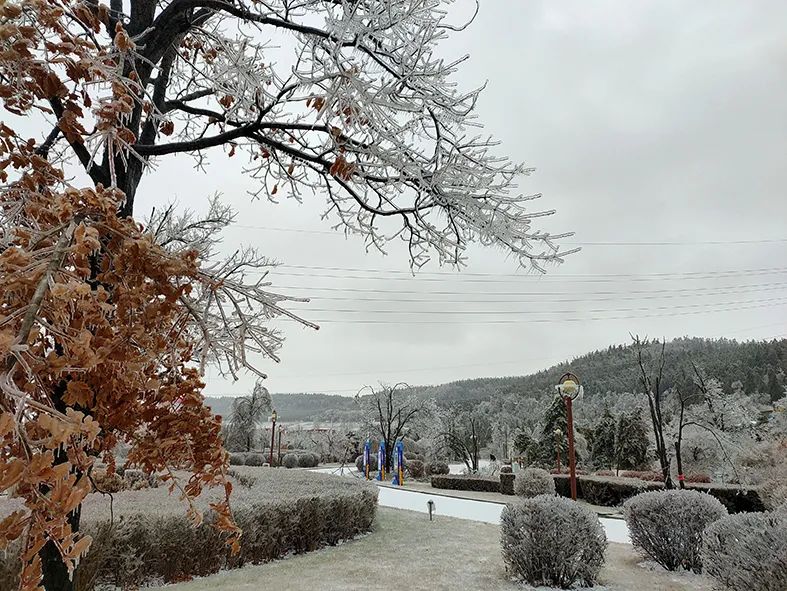 延边开启滑雪季快来嗨翻冬天,雪雪来了