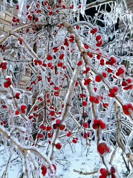 延边开启滑雪季快来嗨翻冬天,雪雪来了
