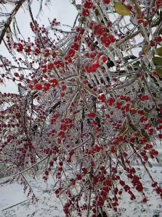 延边开启滑雪季快来嗨翻冬天,雪雪来了