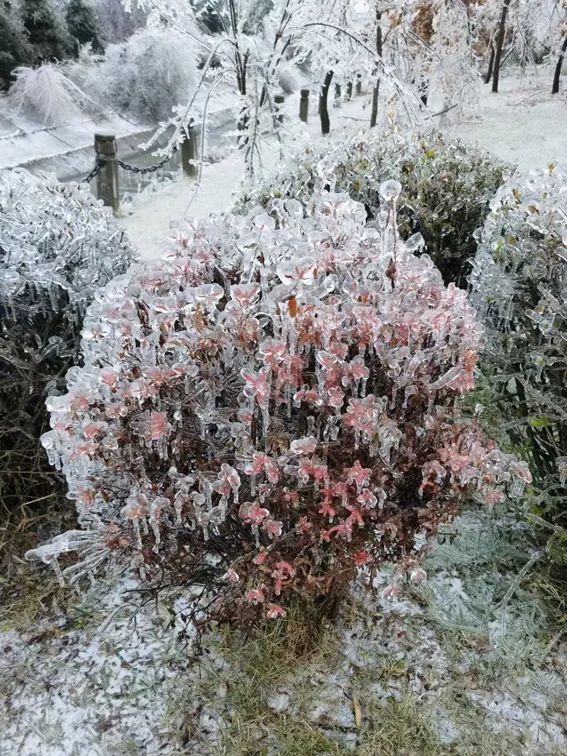 延边开启滑雪季快来嗨翻冬天,雪雪来了