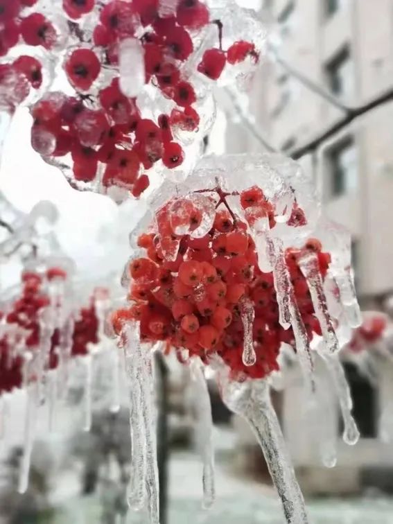 延边开启滑雪季快来嗨翻冬天,雪雪来了