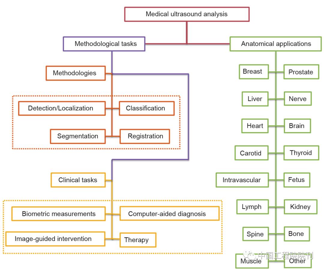 超声图像在医学领域的应用,深度学习和超声成像