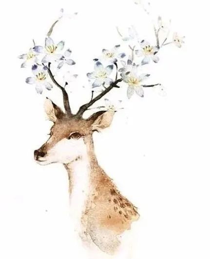 句容地名故事王家庄,句容地名故事视频