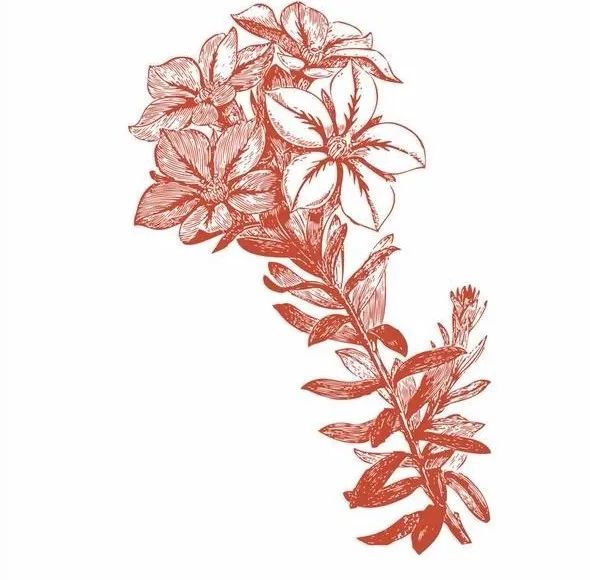 句容地名故事王家庄,句容地名故事视频