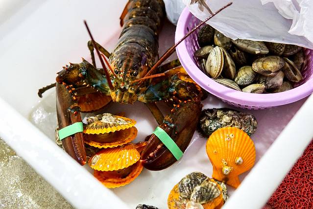 五天四晚三亚自驾,五天四晚三亚旅游路线