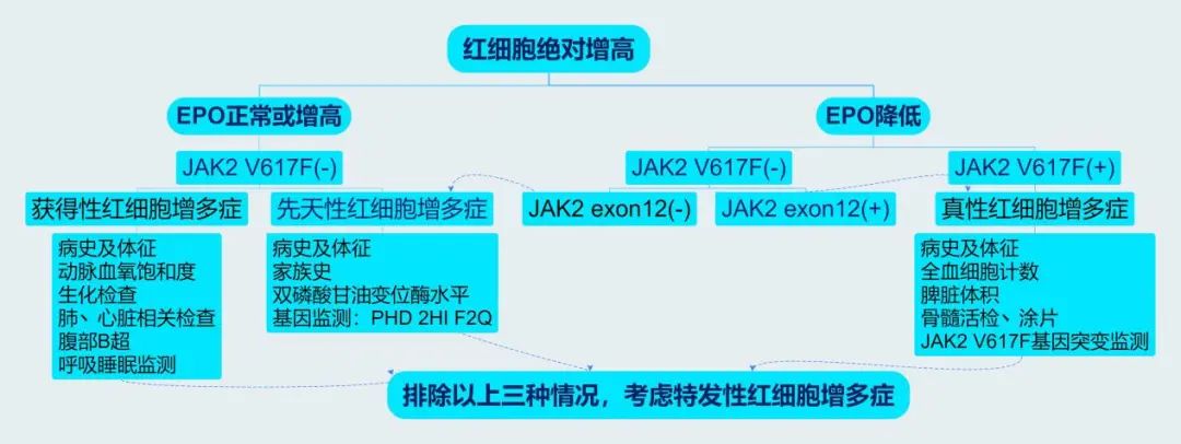 哪些疾病会引起红细胞增多症,红细胞增多症中医治疗方法