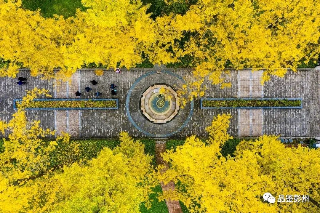 鑸媿褰窞鍏ㄦ櫙瑙嗛,鍑犱綍鑸媿