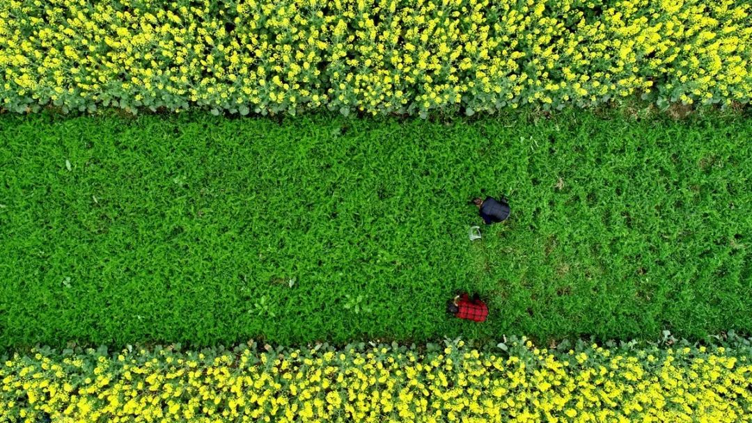 鑸媿褰窞鍏ㄦ櫙瑙嗛,鍑犱綍鑸媿