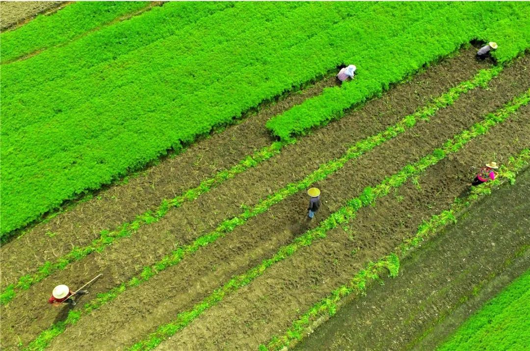 鑸媿褰窞鍏ㄦ櫙瑙嗛,鍑犱綍鑸媿