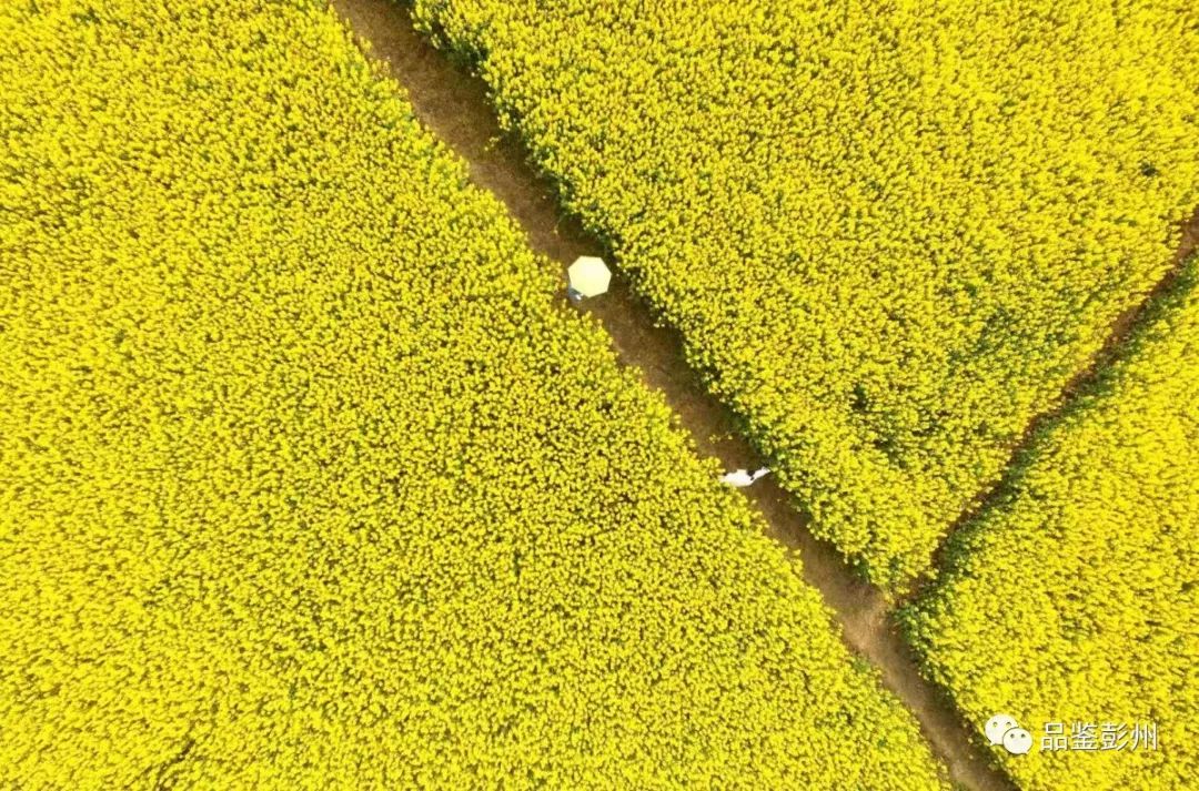 鑸媿褰窞鍏ㄦ櫙瑙嗛,鍑犱綍鑸媿