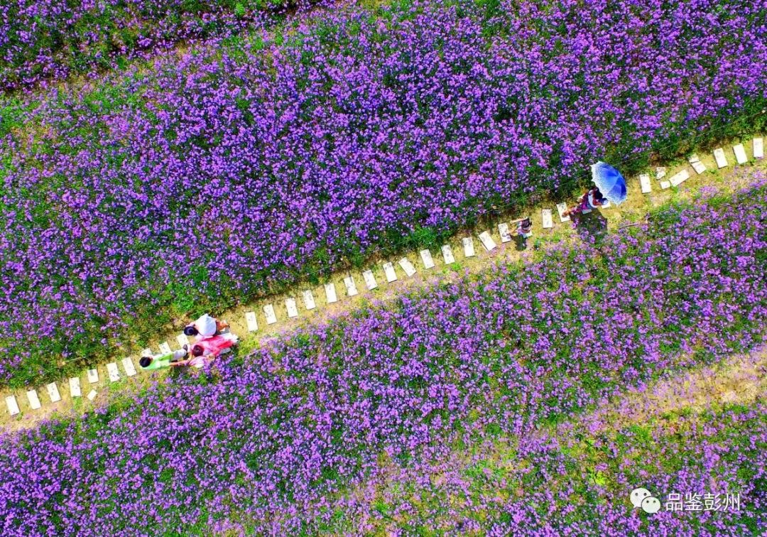 鑸媿褰窞鍏ㄦ櫙瑙嗛,鍑犱綍鑸媿