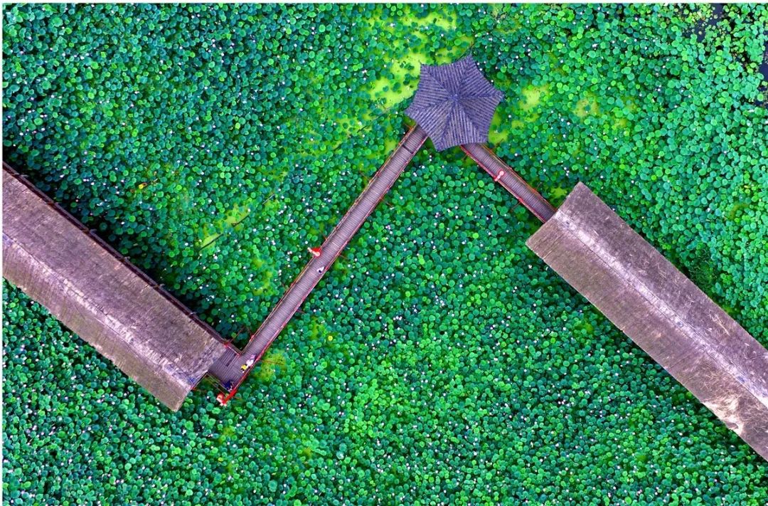 鑸媿褰窞鍏ㄦ櫙瑙嗛,鍑犱綍鑸媿