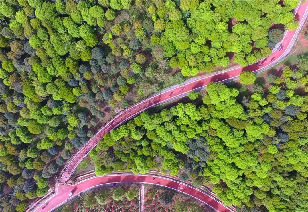 鑸媿褰窞鍏ㄦ櫙瑙嗛,鍑犱綍鑸媿