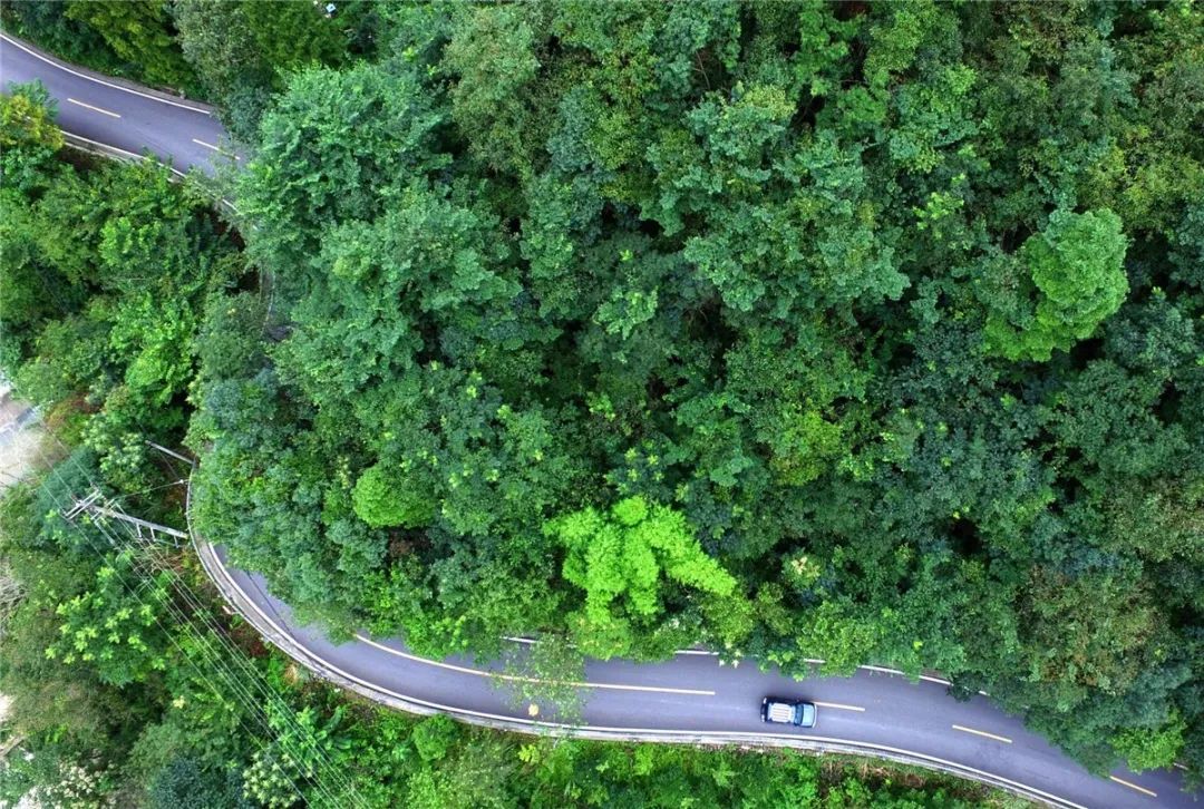鑸媿褰窞鍏ㄦ櫙瑙嗛,鍑犱綍鑸媿