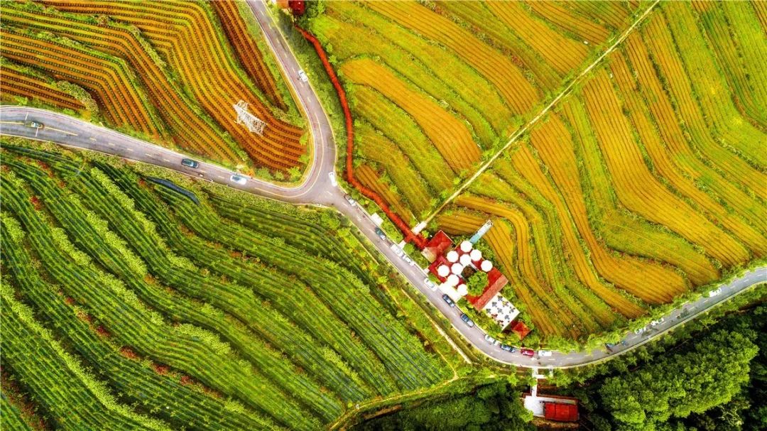 鑸媿褰窞鍏ㄦ櫙瑙嗛,鍑犱綍鑸媿