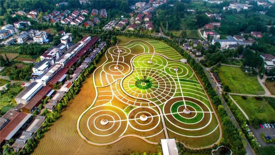 鑸媿褰窞鍏ㄦ櫙瑙嗛,鍑犱綍鑸媿